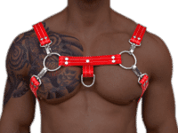 H Style Harness
