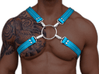 X Style Harness