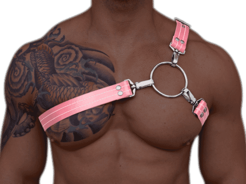 Y Style Harness