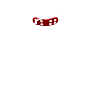 Leather Collar with Red Leather 1