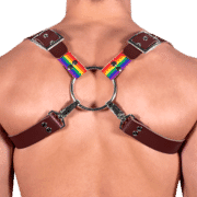 Leather & Pride 8 Style Harness 1