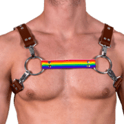 Leather & Pride H Style Harness 1