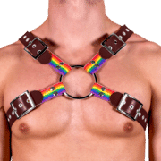 Leather & Pride X Style Harness 1