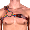 Leather & Pride Y Style Harness 1