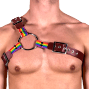 Leather & Pride Y Style Harness 1