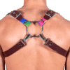 Leather & Rainbow 8 Style Harness 1