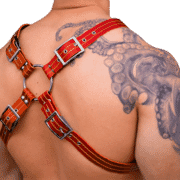 Leather Two Tone X Style Harness 1