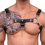 Rubber H Style Harness 1