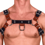 Rubber & Solid PVC H Style Harness 1