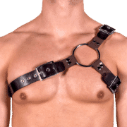 Rubber & Solid PVC Y Style Harness 1