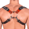 Rubber & Tinted PVC 8 Style Harness with Red Tinted PVC 1
