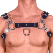 Rubber & Tinted PVC H Style Harness 1