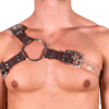 Solid PVC & Clear PVC Y Style Harness 1