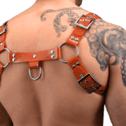 Solid PVC Two Tone H Style Harness 1