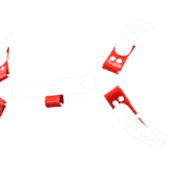 Solid PVC Two Tone H Style Harness with Red Solid PVC 2 1