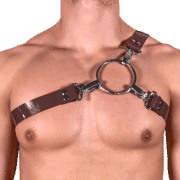 Solid PVC Y Style Harness 1