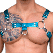 Tinted PVC H Style Harness with Blue Tinted PVC 1