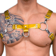 Tinted PVC H Style Harness with Yellow Tinted PVC 1
