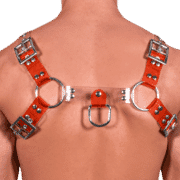 Tinted PVC Two Tone H Style Harness with Red Tinted PVC 1