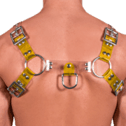 Tinted PVC Two Tone H Style Harness with Yellow Tinted PVC 1