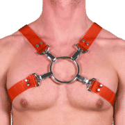 Tinted PVC X Style Harness with Red Tinted PVC 1
