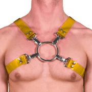 Tinted PVC X Style Harness with Yellow Tinted PVC 1