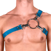 Tinted PVC Y Style Harness with Blue Tinted PVC 1