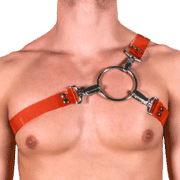 Tinted PVC Y Style Harness with Red Tinted PVC 1